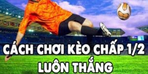 bí kíp soi kèo chấp 1/2 chắc chắn thắng cho dân cá độ